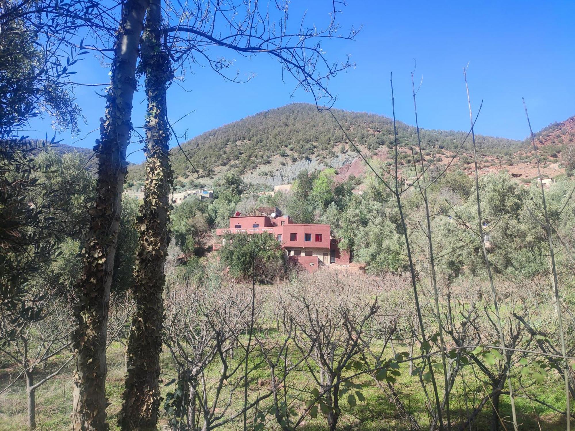 Chez Yahia, Au Coeur De L'Ourika Ξενοδοχείο Εξωτερικό φωτογραφία