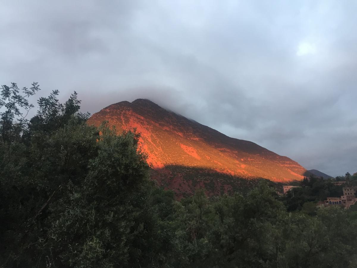 Chez Yahia, Au Coeur De L'Ourika Ξενοδοχείο Εξωτερικό φωτογραφία